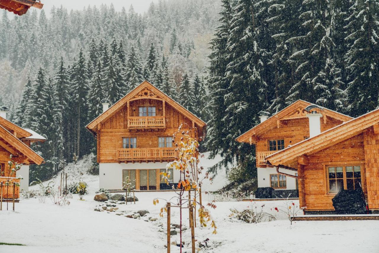 Luxury Chalets Gradenbach Near Schladming Хаус-им-Энншталь Экстерьер фото