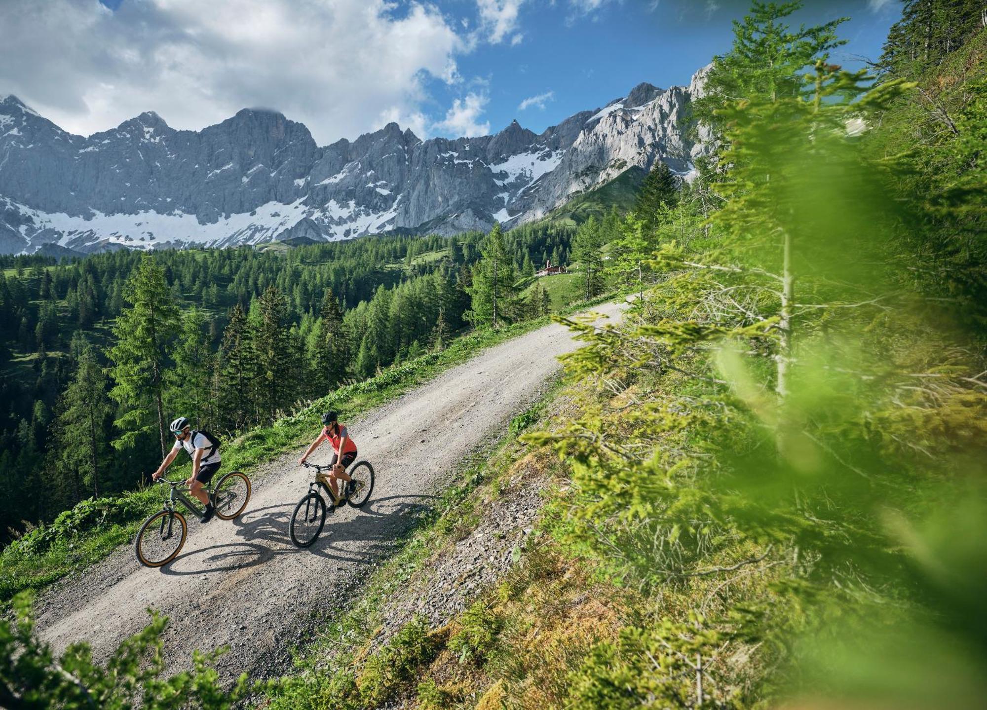 Luxury Chalets Gradenbach Near Schladming Хаус-им-Энншталь Экстерьер фото