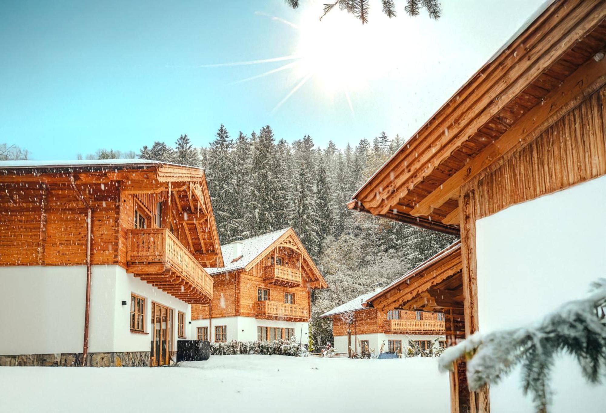 Luxury Chalets Gradenbach Near Schladming Хаус-им-Энншталь Экстерьер фото